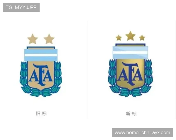 国家队在数据解析方面引发关注